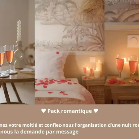 Apartamento Cosy Et Chaleureux Wifi Tres Debit Lyon